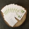 Carte, Monstera – Image 3