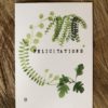 Carte, Monstera – Image 2