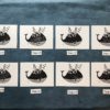 Gravure, ANNETTE, FELIX & LOUISON, 2 pieuvres et une baleine – Image 7
