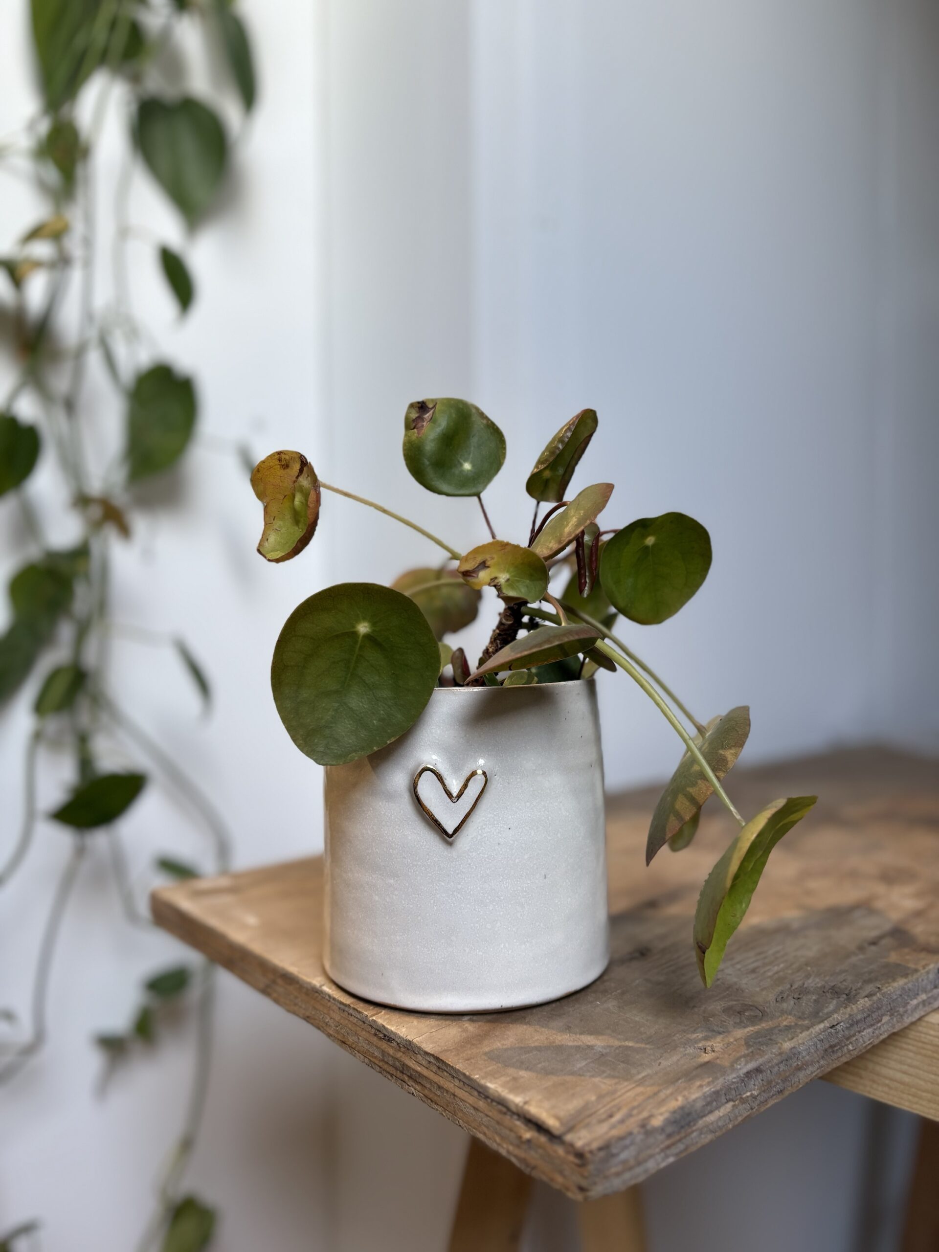 Cache-pot "coeur" (taille S)